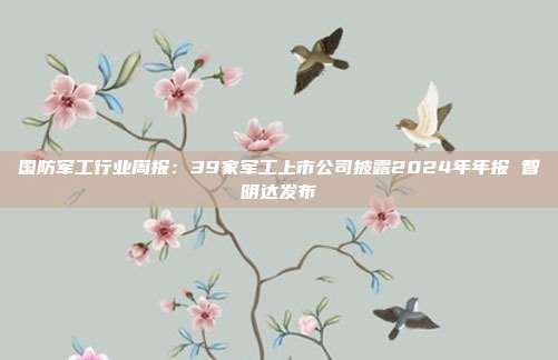 国防军工行业周报:39家军工上市公司披露2024年年报 智明达发布