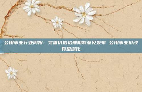 公用事业行业周报:完善价格治理机制意见发布 公用事业价改有望深化