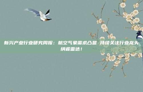 新兴产业行业研究周报：航空气象需求凸显 持续关注行业龙头纳睿雷达！
