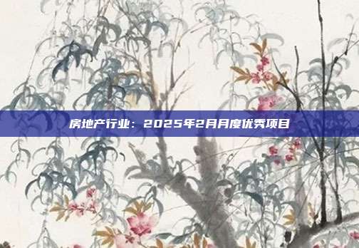 房地产行业：2025年2月月度优秀项目
