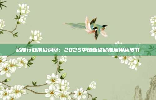 储能行业前沿洞察：2025中国新型储能应用蓝皮书