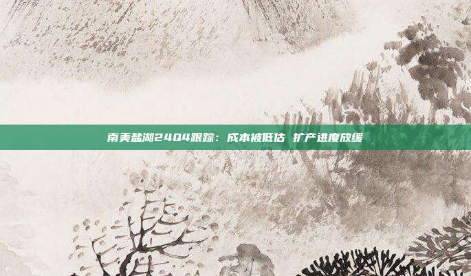 南美盐湖24Q4跟踪:成本被低估 扩产进度放缓