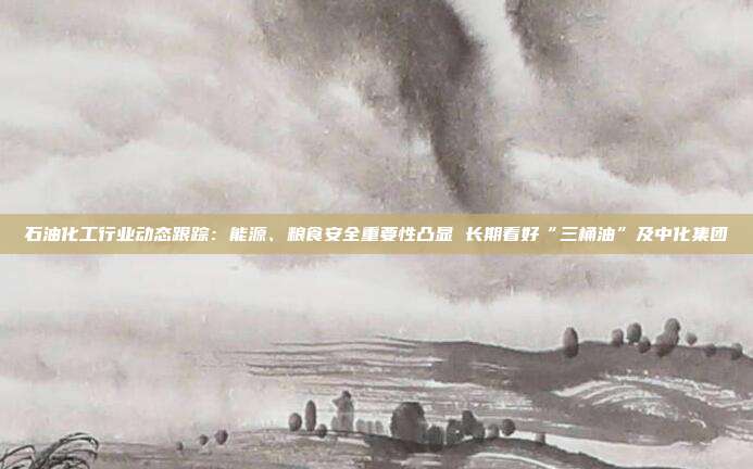 石油化工行业动态跟踪:能源、粮食安全重要性凸显 长期看好“三桶油”及中化集团