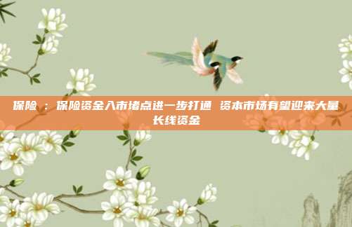 保险Ⅱ:保险资金入市堵点进一步打通 资本市场有望迎来大量长线资金