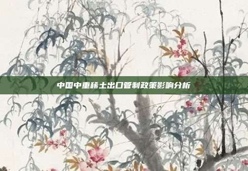 中国中重稀土出口管制政策影响分析