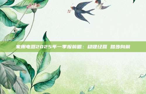 家用电器2025年一季报前瞻:稳健经营 踏步向前