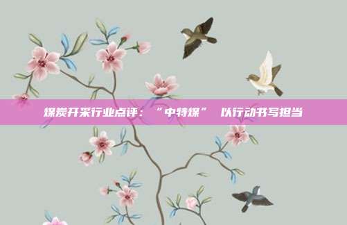煤炭开采行业点评:“中特煤” 以行动书写担当