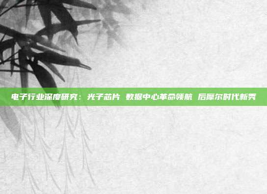电子行业深度研究:光子芯片 数据中心革命领航 后摩尔时代新秀