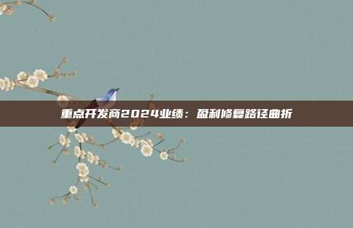 重点开发商2024业绩:盈利修复路径曲折