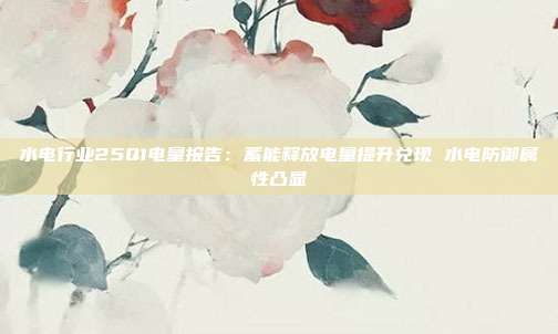 水电行业25Q1电量报告:蓄能释放电量提升兑现 水电防御属性凸显