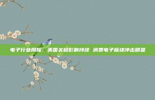 电子行业周报:美国关税影响持续 消费电子板块冲击明显