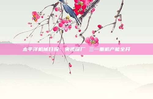 太平洋机械日报:央视探厂 三一重机产能全开