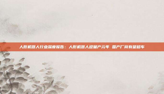 人形机器人行业深度报告:人形机器人迎量产元年 国产厂商有望超车
