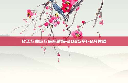 化工行业运行指标跟踪-2025年1-2月数据