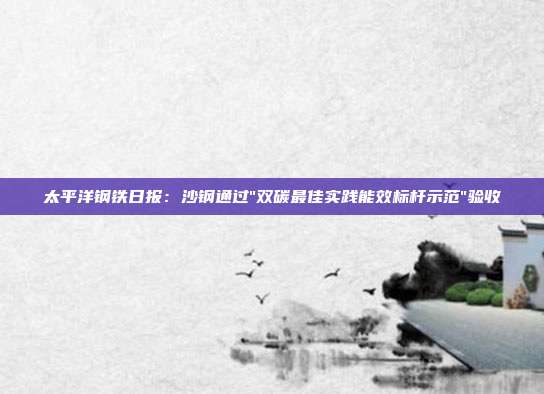 太平洋钢铁日报:沙钢通过