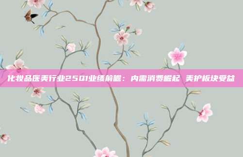 化妆品医美行业25Q1业绩前瞻:内需消费崛起 美护板块受益