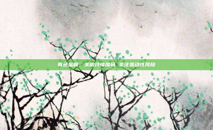 有色金属:关税持续加码 关注流动性风险
