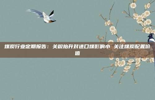 煤炭行业定期报告:关税抬升对进口煤影响小 关注煤炭配置价值
