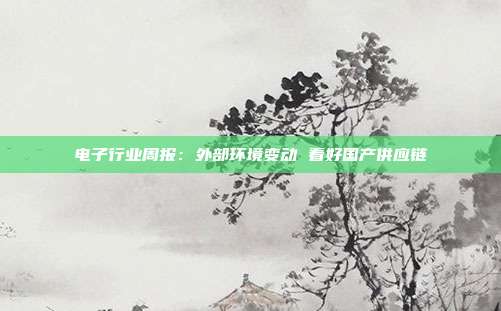 电子行业周报:外部环境变动 看好国产供应链