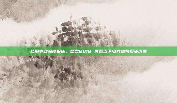 公用事业深度报告:复盘2018 再看当下电力燃气投资价值