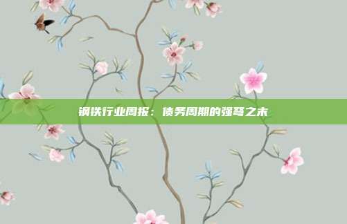 钢铁行业周报:债务周期的强弩之末