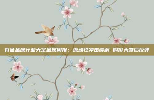 有色金属行业大宗金属周报:流动性冲击缓解 铜价大跌后反弹