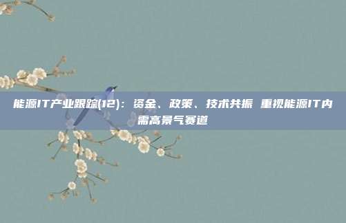能源IT产业跟踪(12):资金、政策、技术共振 重视能源IT内需高景气赛道