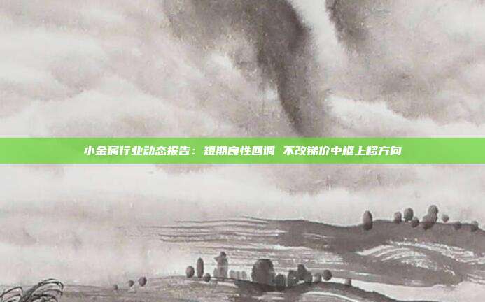 小金属行业动态报告:短期良性回调 不改锑价中枢上移方向