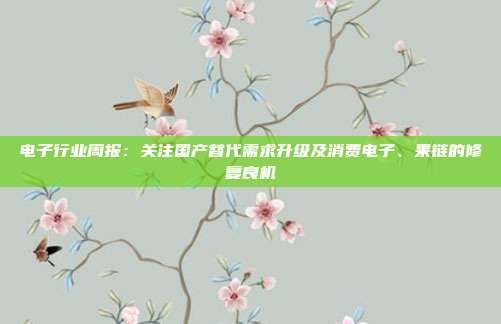 电子行业周报:关注国产替代需求升级及消费电子、果链的修复良机