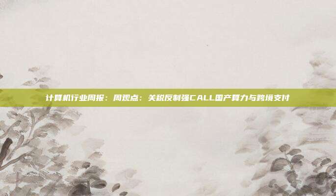 计算机行业周报:周观点:关税反制强CALL国产算力与跨境支付