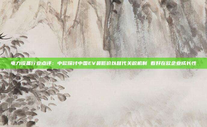 电力设备行业点评:中欧探讨中国EV最低价以替代关税机制 看好在欧企业成长性