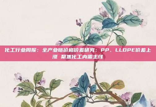 化工行业周报：全产业链价格价差研究：PP、LLDPE价差上涨 聚焦化工内需主线
