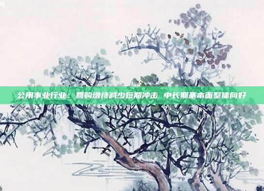 公用事业行业:回购增持减少短期冲击 中长期基本面整体向好