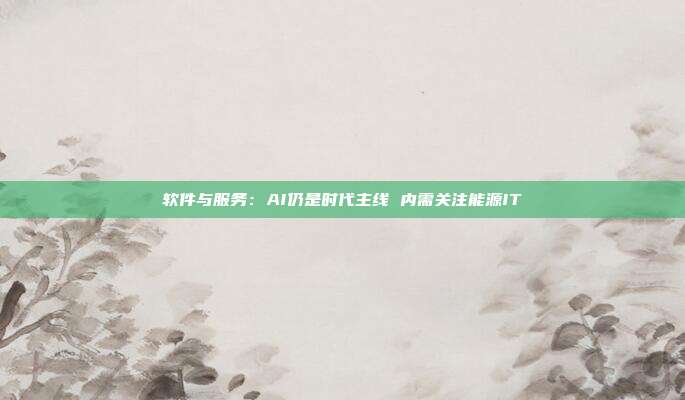 软件与服务:AI仍是时代主线 内需关注能源IT