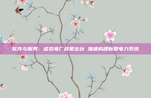 软件与服务:虚拟电厂政策出台 加速构建新型电力系统