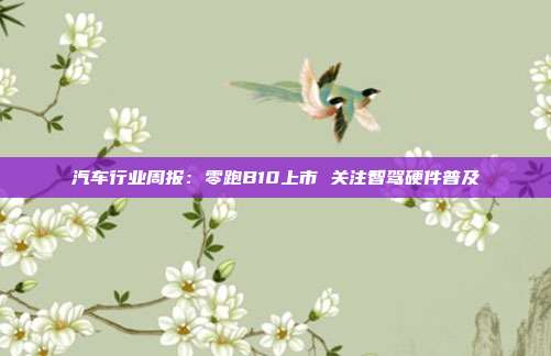 汽车行业周报:零跑B10上市 关注智驾硬件普及