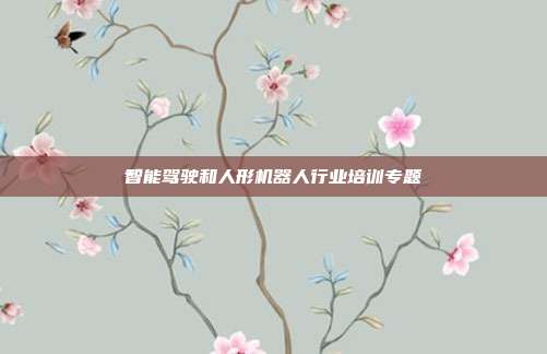 智能驾驶和人形机器人行业培训专题