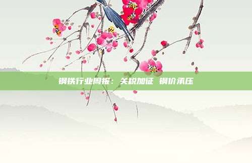钢铁行业周报:关税加征 钢价承压