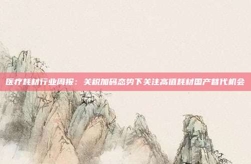医疗耗材行业周报:关税加码态势下关注高值耗材国产替代机会