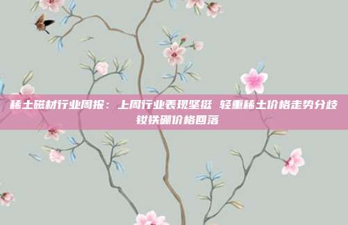 稀土磁材行业周报:上周行业表现坚挺 轻重稀土价格走势分歧 钕铁硼价格回落