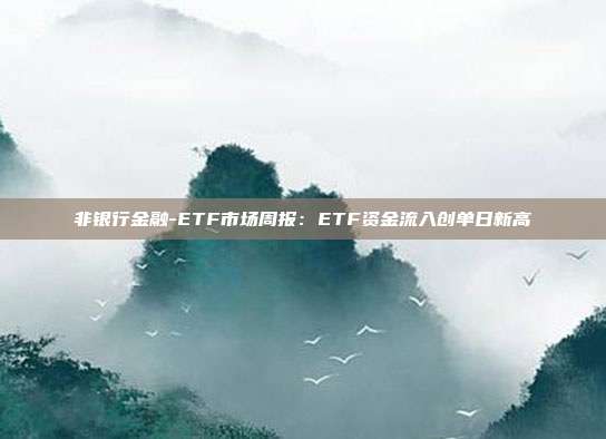 非银行金融-ETF市场周报:ETF资金流入创单日新高