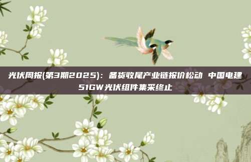光伏周报(第3期2025):备货收尾产业链报价松动 中国电建51GW光伏组件集采终止
