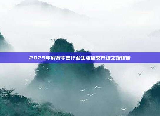 2025年消费零售行业生态体系升级之路报告