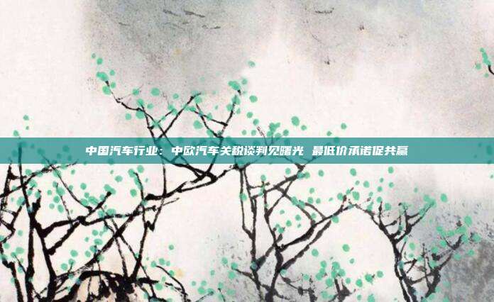 中国汽车行业:中欧汽车关税谈判见曙光 最低价承诺促共赢