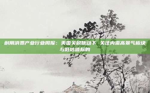 耐用消费产业行业周报:美国关税扰动下 关注内需高景气板块与低估值标的