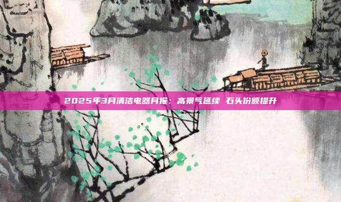 2025年3月清洁电器月报:高景气延续 石头份额提升