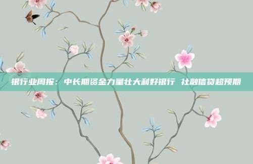 银行业周报:中长期资金力量壮大利好银行 社融信贷超预期
