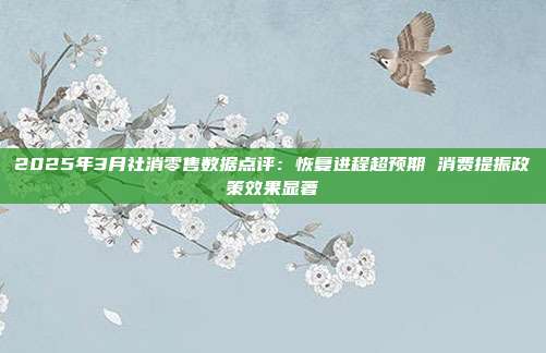 2025年3月社消零售数据点评:恢复进程超预期 消费提振政策效果显著