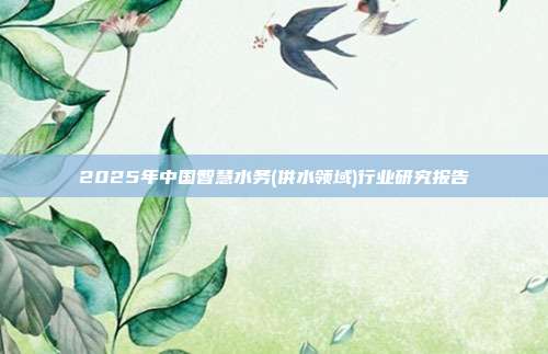 2025年中国智慧水务(供水领域)行业研究报告