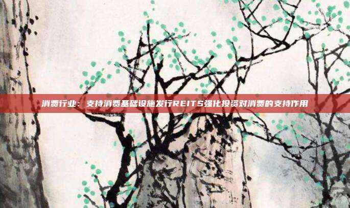 消费行业：支持消费基础设施发行REITS强化投资对消费的支持作用